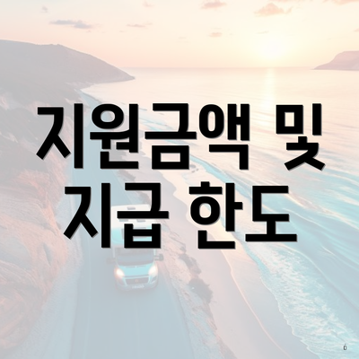 지원금액 및 지급 한도
