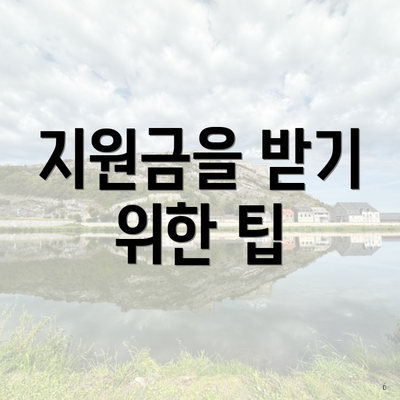 지원금을 받기 위한 팁