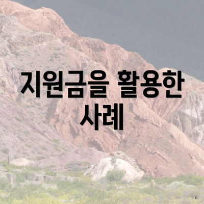 지원금을 활용한 사례