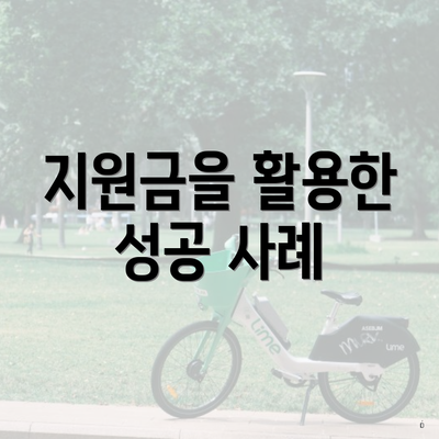 지원금을 활용한 성공 사례