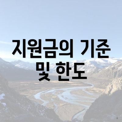 지원금의 기준 및 한도