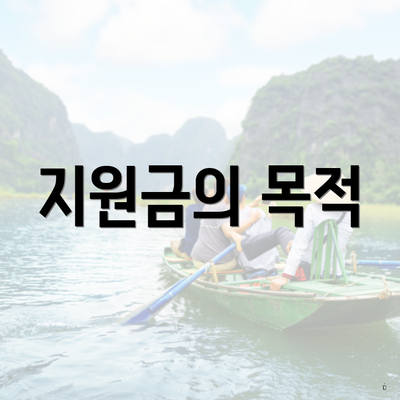 지원금의 목적