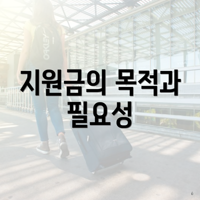 지원금의 목적과 필요성