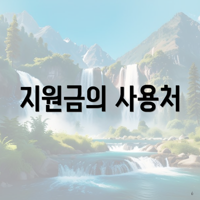 지원금의 사용처