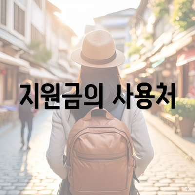 지원금의 사용처