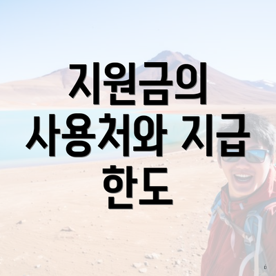 지원금의 사용처와 지급 한도