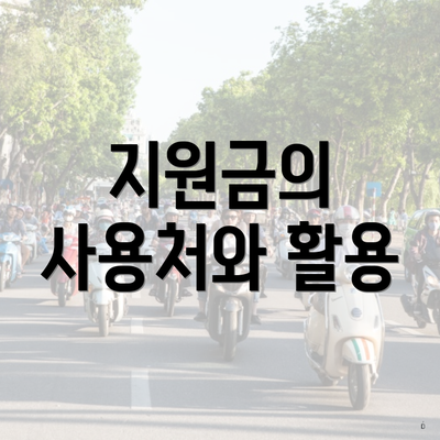 지원금의 사용처와 활용