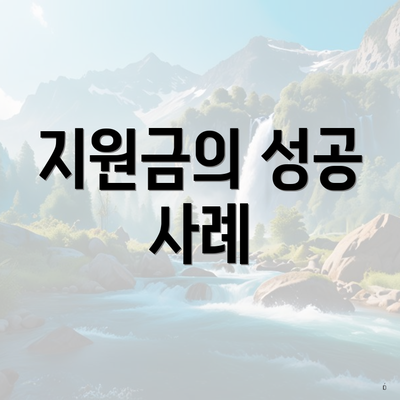 지원금의 성공 사례
