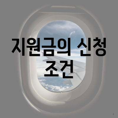 지원금의 신청 조건