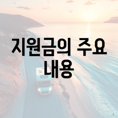지원금의 주요 내용