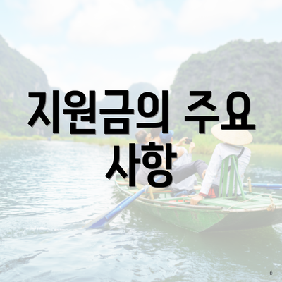 지원금의 주요 사항