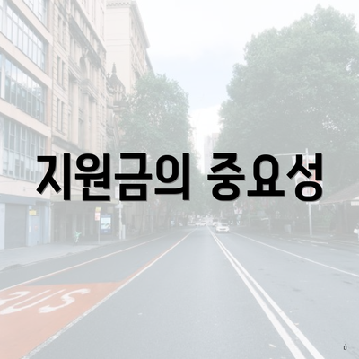 지원금의 중요성