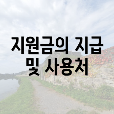 지원금의 지급 및 사용처