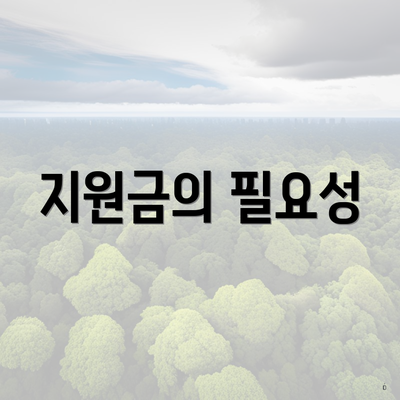 지원금의 필요성
