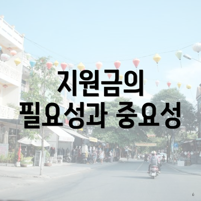 지원금의 필요성과 중요성