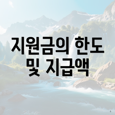 지원금의 한도 및 지급액