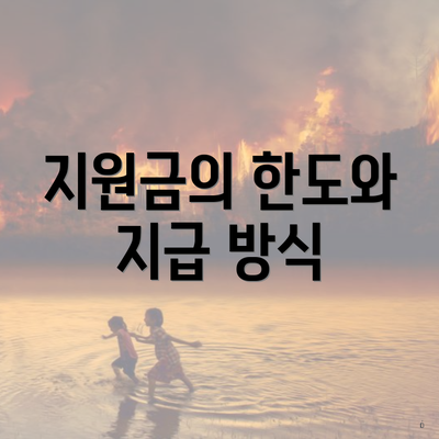 지원금의 한도와 지급 방식