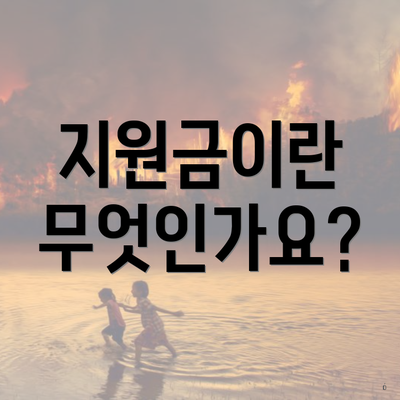 지원금이란 무엇인가요?
