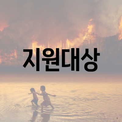 지원대상