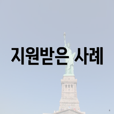 지원받은 사례