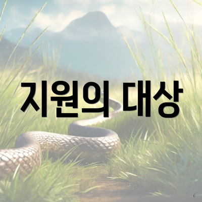 지원의 대상