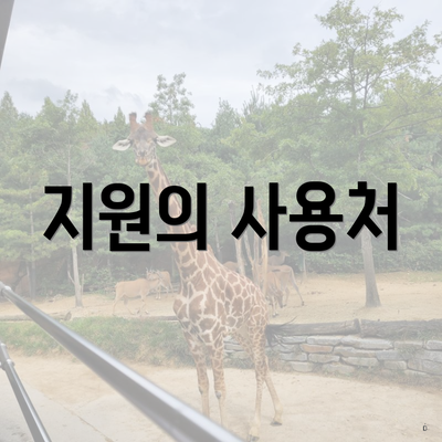 지원의 사용처