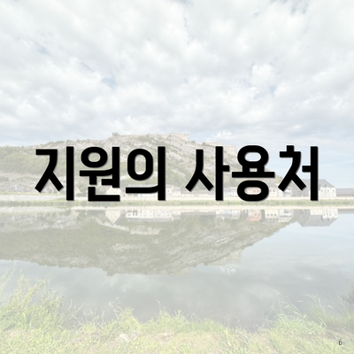 지원의 사용처