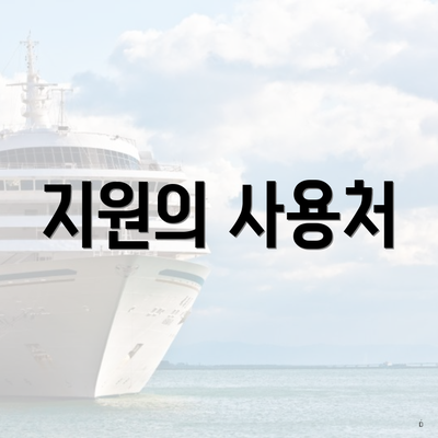 지원의 사용처