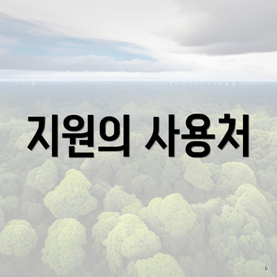 지원의 사용처