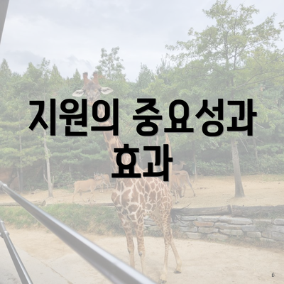 지원의 중요성과 효과