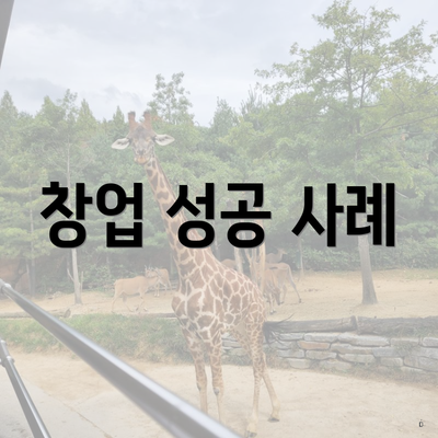 창업 성공 사례