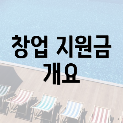 창업 지원금 개요