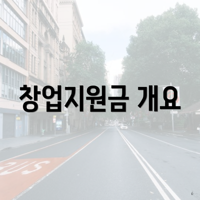창업지원금 개요