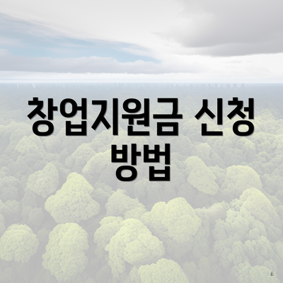 창업지원금 신청 방법