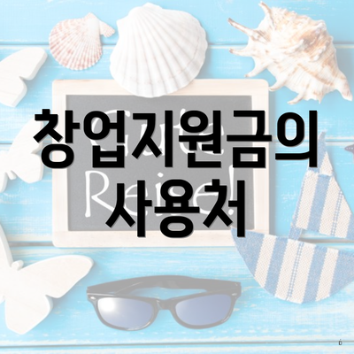 창업지원금의 사용처