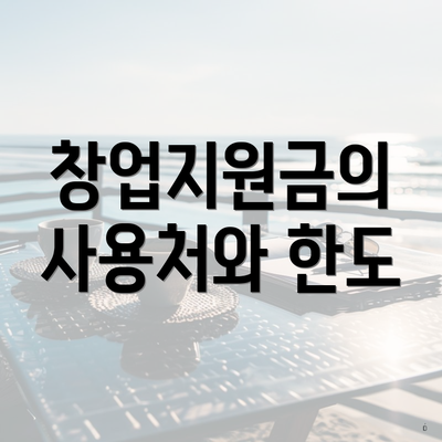 창업지원금의 사용처와 한도