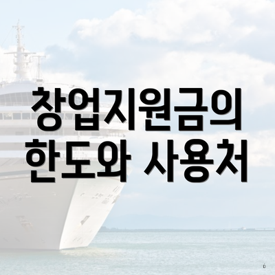 창업지원금의 한도와 사용처