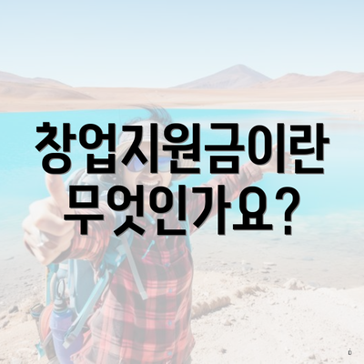 창업지원금이란 무엇인가요?