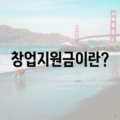 창업지원금이란?