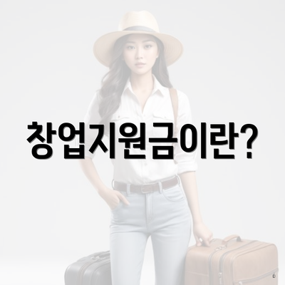 창업지원금이란?