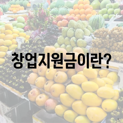 창업지원금이란?