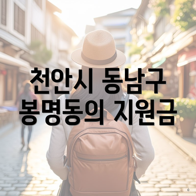 천안시 동남구 봉명동의 지원금