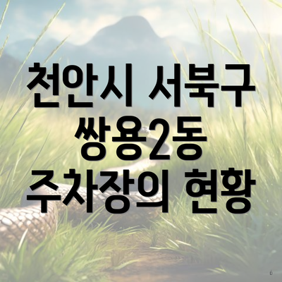 천안시 서북구 쌍용2동 주차장의 현황