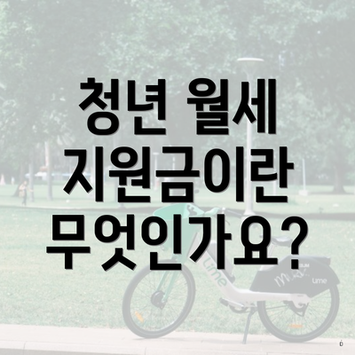 청년 월세 지원금이란 무엇인가요?