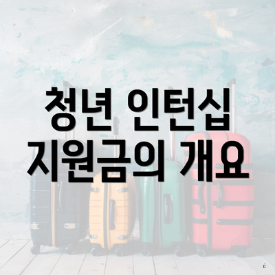 청년 인턴십 지원금의 개요