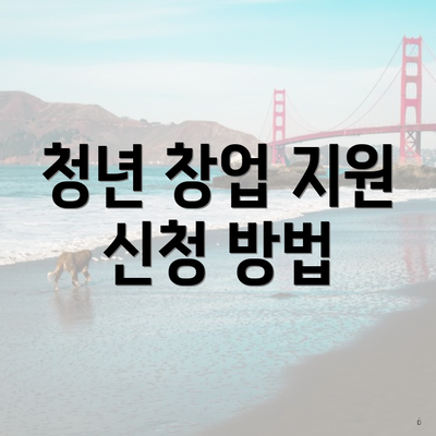 청년 창업 지원 신청 방법