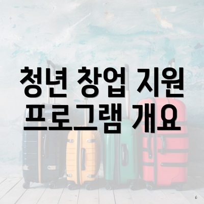 청년 창업 지원 프로그램 개요