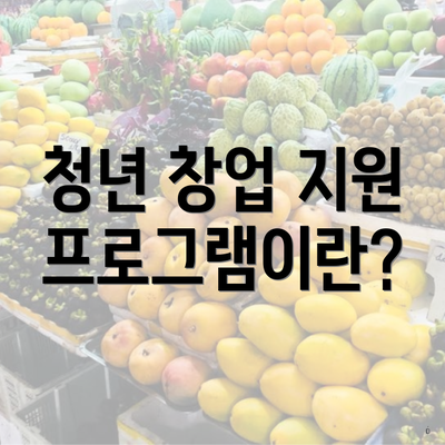 청년 창업 지원 프로그램이란?