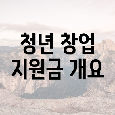 청년 창업 지원금 개요
