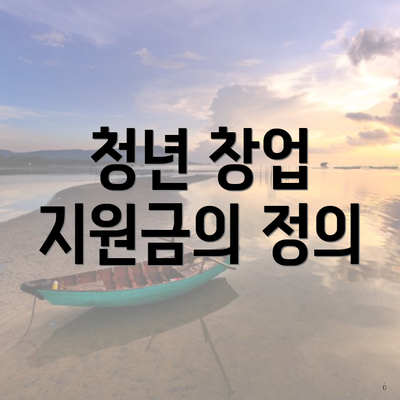 청년 창업 지원금의 정의